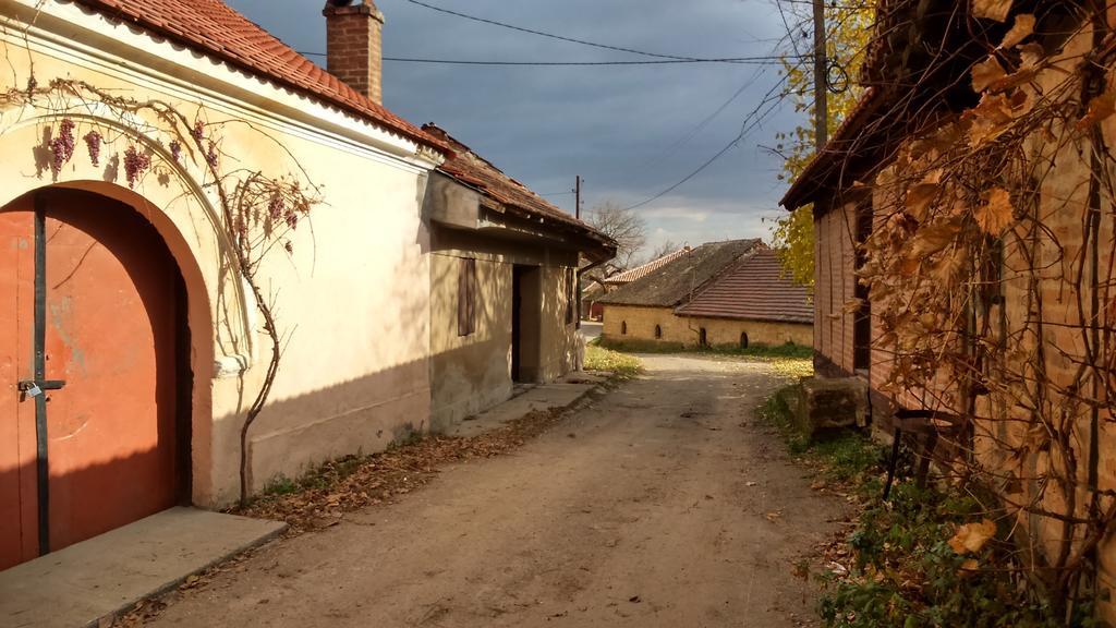 Country House Dunjin Konak Rogljevo 外观 照片