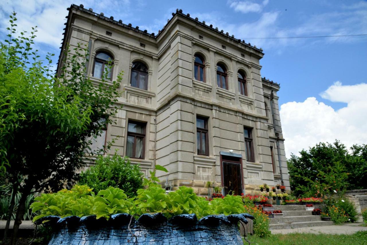 Country House Dunjin Konak Rogljevo 外观 照片