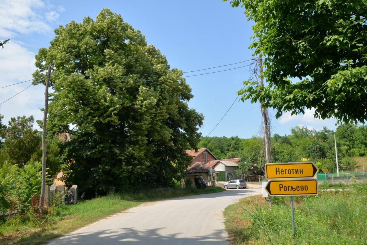 Country House Dunjin Konak Rogljevo 外观 照片