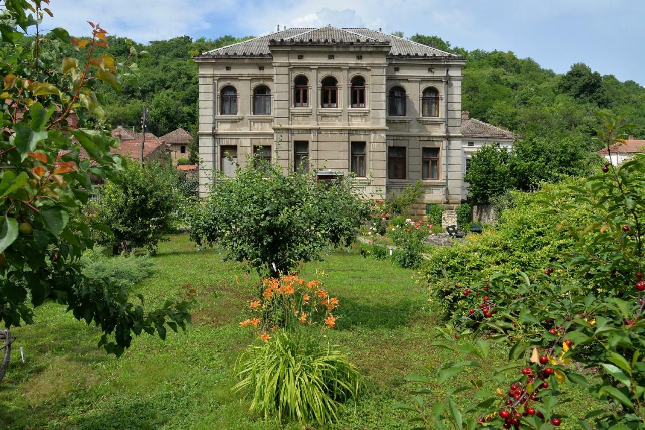 Country House Dunjin Konak Rogljevo 外观 照片