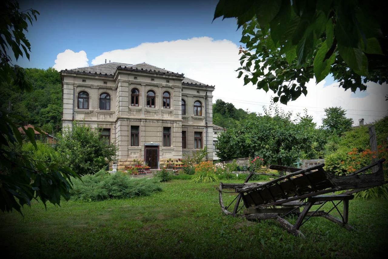 Country House Dunjin Konak Rogljevo 外观 照片