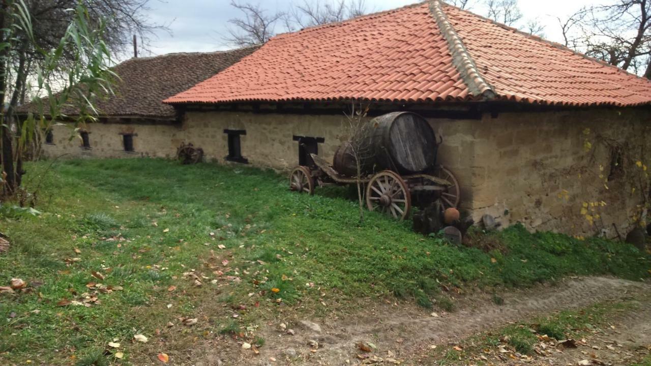 Country House Dunjin Konak Rogljevo 外观 照片