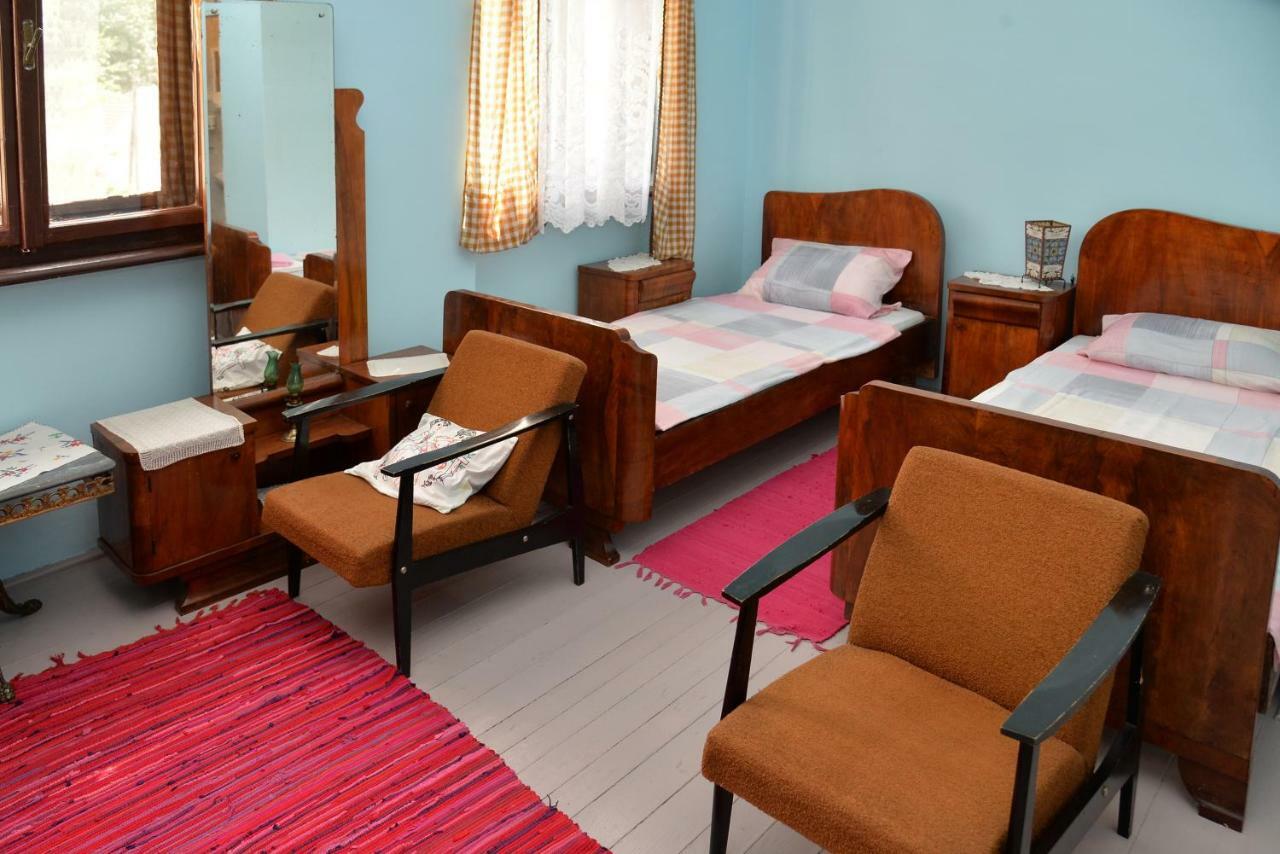 Country House Dunjin Konak Rogljevo 外观 照片