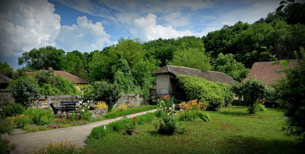 Country House Dunjin Konak Rogljevo 外观 照片