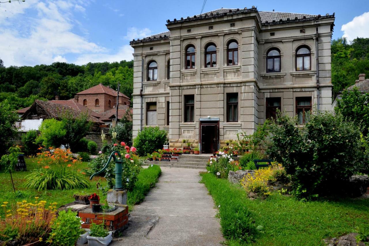 Country House Dunjin Konak Rogljevo 外观 照片