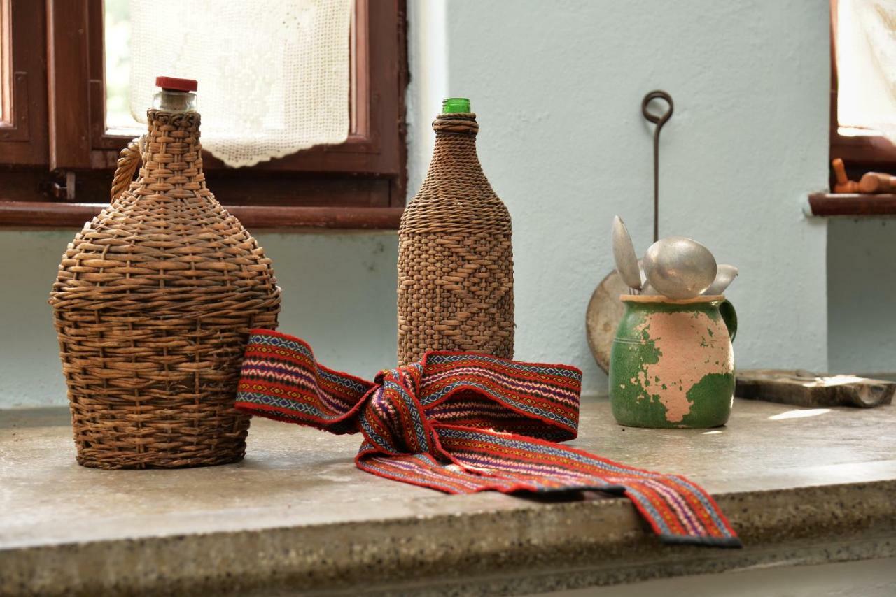 Country House Dunjin Konak Rogljevo 外观 照片